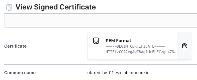 Screenshot of a newly minted SSL certificate for an ESXi host