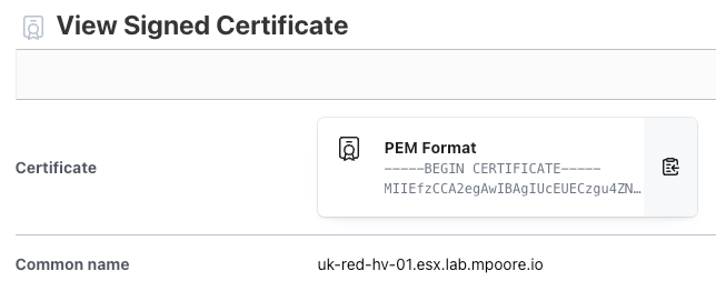 Screenshot of a newly minted SSL certificate for an ESXi host.